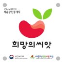채움공인중개사사무소 이미지