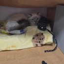 아이온메디컬 이미지