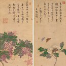 나비의꿈 이미지