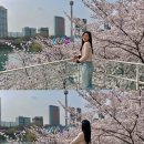 송파나루(문화실험공간 호수) | 잠실 석촌호수 포토존 문화실험공간 호수 2026 방문 후기