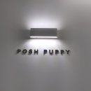 퍼쉬퍼피 이미지