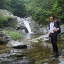 여름향기 이미지