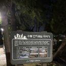 도화초등학교 | 인천 수봉공원에서 남자친구와 수봉별마루 별빛축제 가는 법