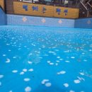 한국민속촌수영장 이미지