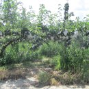 배다리생태공원 이미지