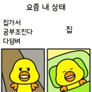 소잡는고을 이미지