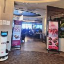 롯데백화점광복 제9관 | [부산/중구] 빕스 롯데백화점 광복점 2026 딸기축제 샐러드바 가격 및 할인 사용 후기