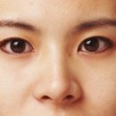 눈썹대로 이미지