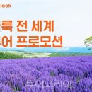 (주)유니버스항공