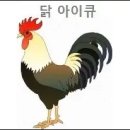 닭 이미지