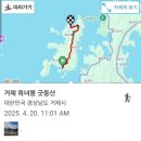 칠천도편백숲 이미지