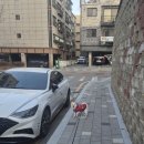 24시 강서 젠틀리동물의료센터 | 전십자인대 파열로 수술 후 입원중인 김모모 그리워하는 일상🥲(ft.젠틀리동물병원)