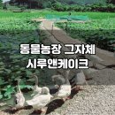 시루농장 네이버블로그