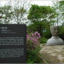 미륵리 불두 이미지