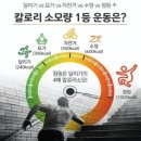 점핑다이어트쑥고개점