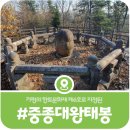 중종대왕태봉 | [가평 중종대왕태봉] 가평이 군(郡)으로 승격된 이유이기도 한 지역문화재(2025)