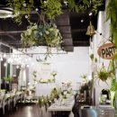 다노이218 이미지