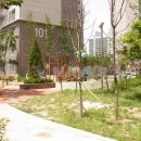 우방좋은집공인중개사사무소 이미지