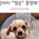 개봉동물병원 이미지