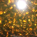 자산동203 이미지