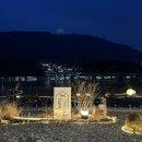 품에 고모리D 이미지