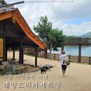 나라애견 | 마산 해양드라마세트장 창원 파도소리길 애견동반 산책 후기