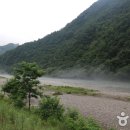 대영민물고기 이미지