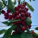 은혜농장 이미지