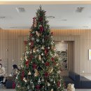 장평3로 | 거제 삼성호텔 모닝아일랜드 뷔페 런치 후기