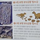 세계주유소 | [군산 여행] 고성까지 갈 필요 없는 산북동 공룡발자국 화석산지 (주차/입장료 꿀팁)