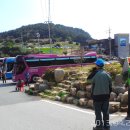 해금강주차장 이미지