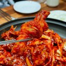 군계폐계닭 티스토리