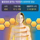 장생테크 이미지