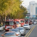 김천장팔 이미지