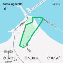 대부해솔길 5코스 | 안산마라톤대회 참가 후기 | 대부에서 놀자 | 안산시 대부도 마라톤 5km 후기 | 러닝 초보 마라톤 첫 참가