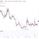 씨엔씨컴퍼니