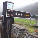 경수봉민박 이미지