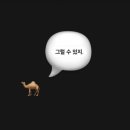 [턴러 몽골리아] 몽골 7박 8일 여행 조장의 준비 과정