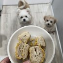 맛있개 먹었냥 이미지