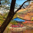 명동산장펜션 | 내장산 아이랑 유모차 끌고 단풍구경 놀이터 즐기기