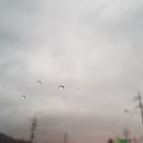 고향산천휴게소 이미지