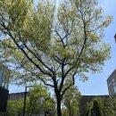 GS25의왕백운밸리점 | [2025.05-06] 지나간 시간을 따라잡기 위해 쓰는 두 달치 월간기록