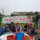 서정대학