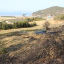 바바공인중개사사무소 이미지