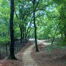 파주삼릉 이미지