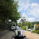 펫보이 캬브 / 배기 구변완료 / 환경검사완료 / 가격 절충 했습니다. 이미지
