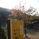 아이스휠 이미지