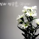 명복의전화