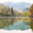 화순 세량지 둘레길(+걷기 시간, 맛집) | 거울 같은 호수에서 걷는 감성 산책