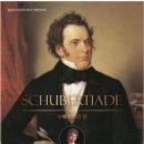 성환문화회관 대공연장 이미지